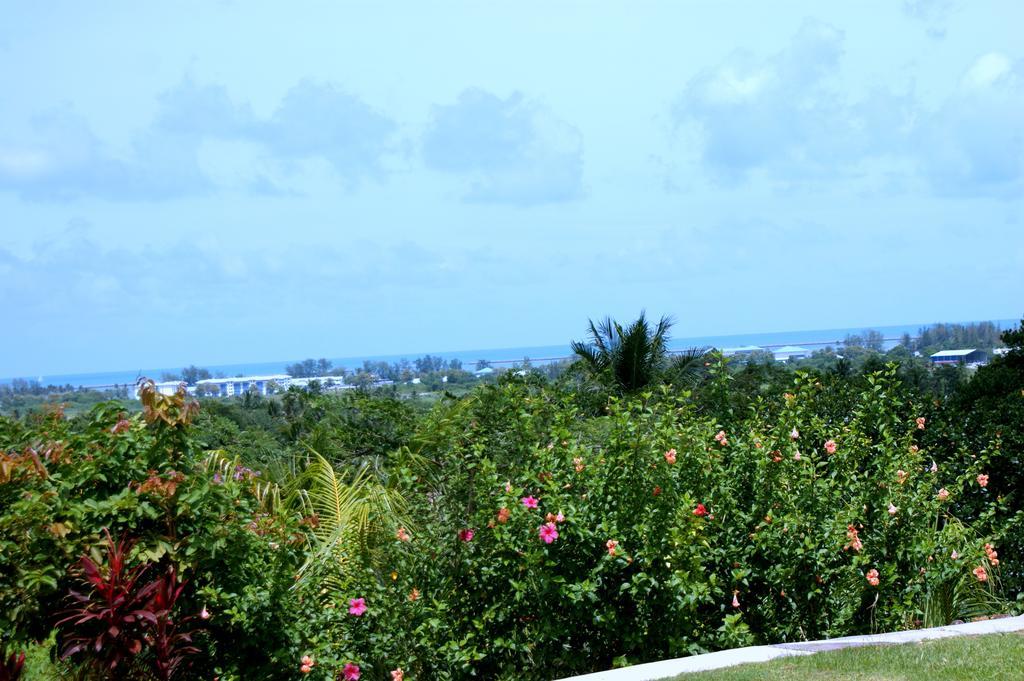Pemandangan Indah Guest House - Look Out Point Villa- Pantai Cenang  Exterior foto